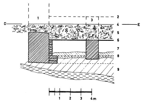 Fig. 13. Coupe transversale dans la crypte occidentale (suivant DE de la fig. 2).